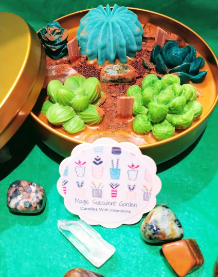 Magic Succulent Garden (16oz Tin)